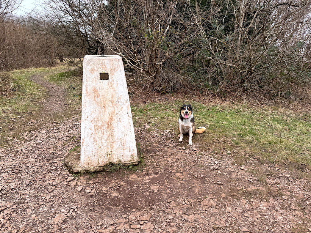 Arnside Knott Arnside Knott