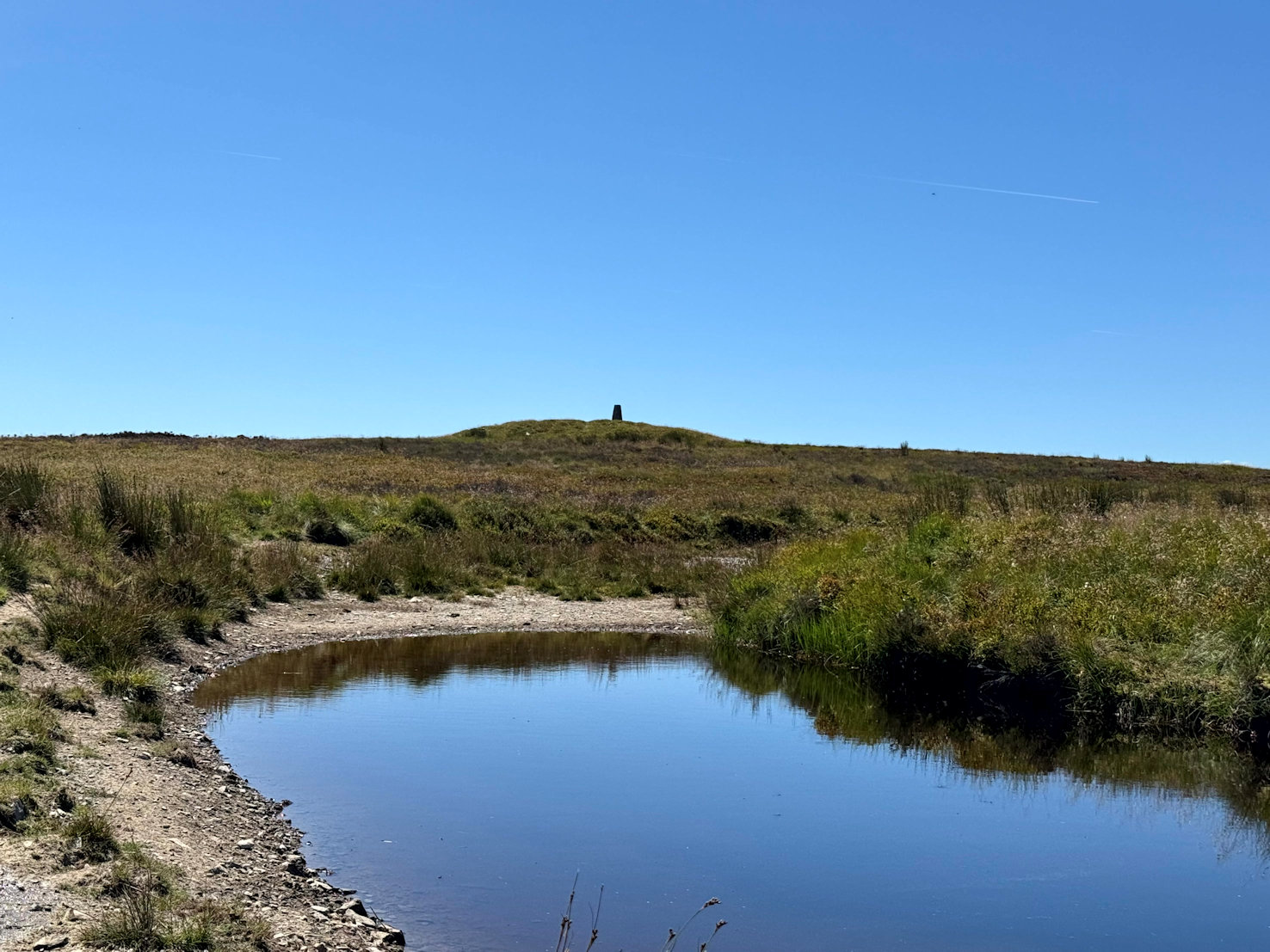 Beacon Hill Beacon Hill