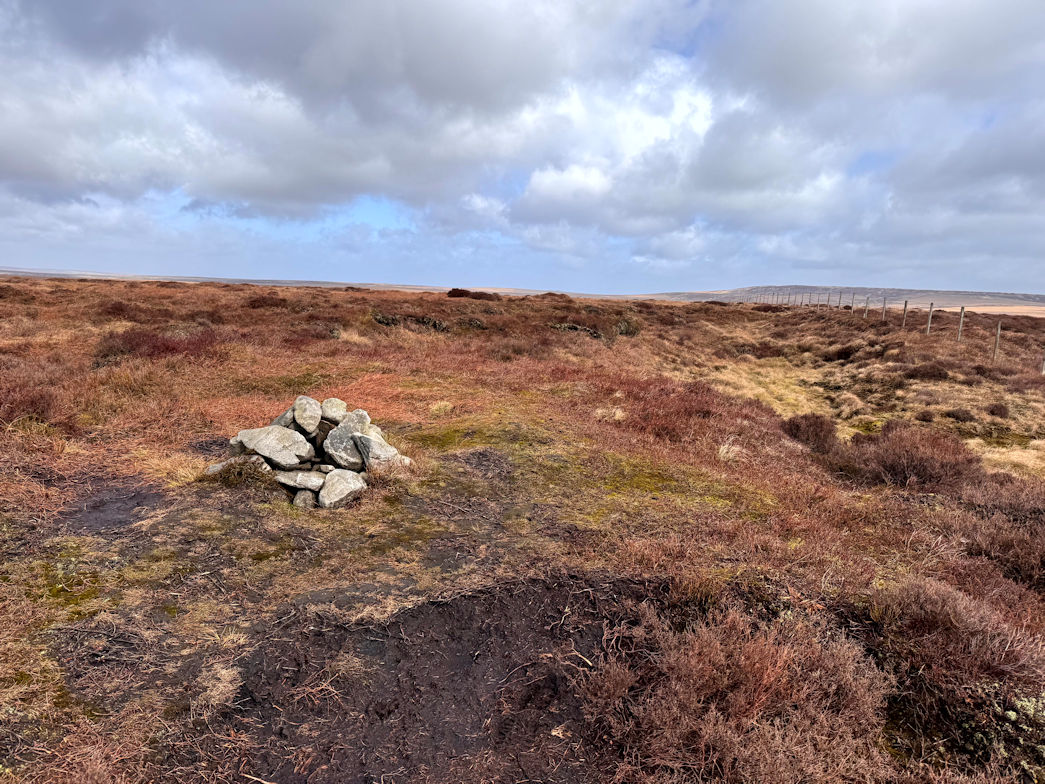 Black Chew Head Black Chew Head