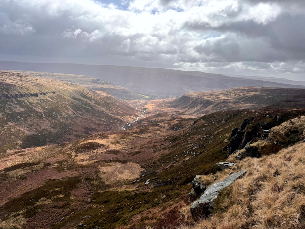 Black Chew Black Chew