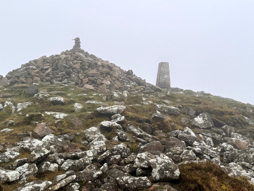 Brown Willy Brown Willy