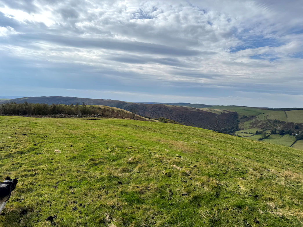 Cefn Cenarth (460m) Cefn Cenarth (460m)