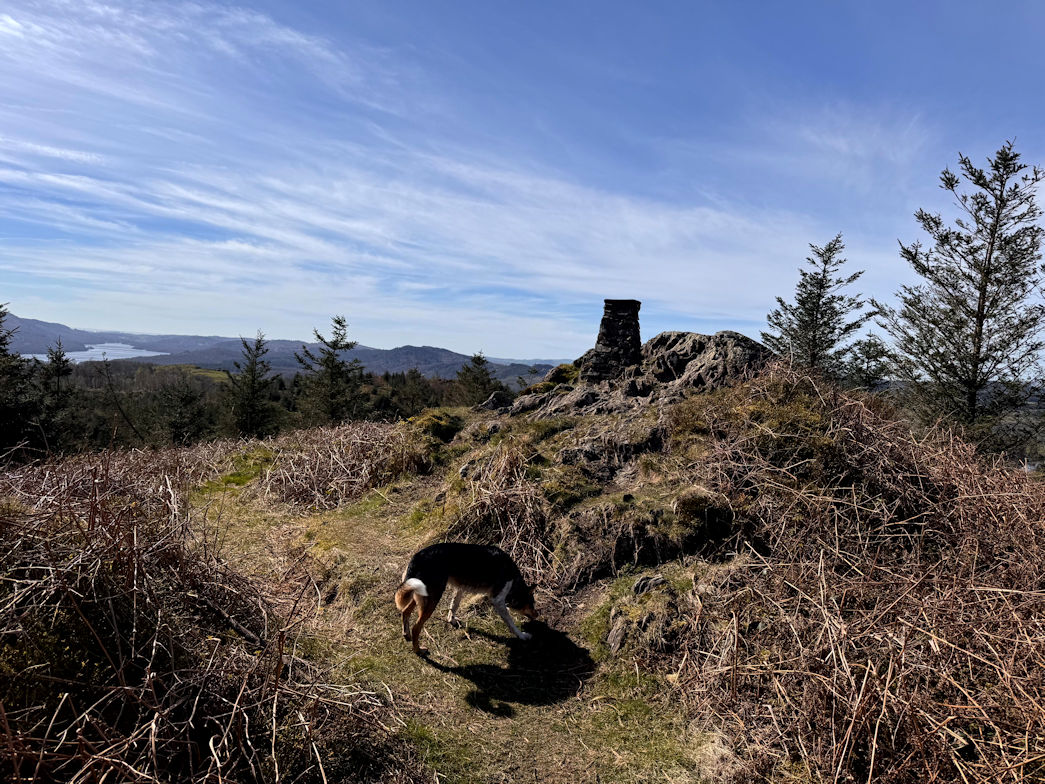 Claiffe Heights Claiffe Heights