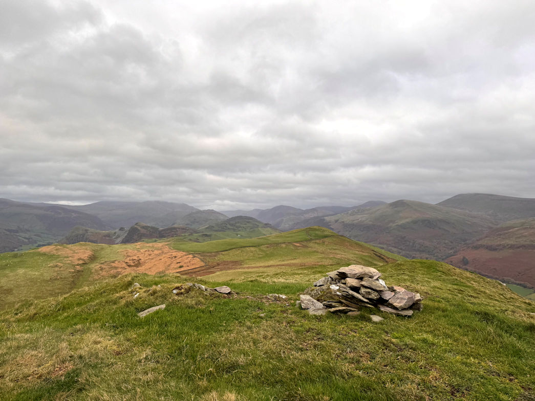 Fridd Cocyn Fridd Cocyn