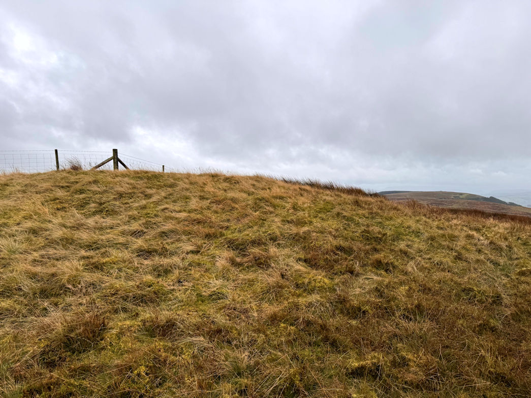 Crugyn Llwyd (571m) Crugyn Llwyd (571m)