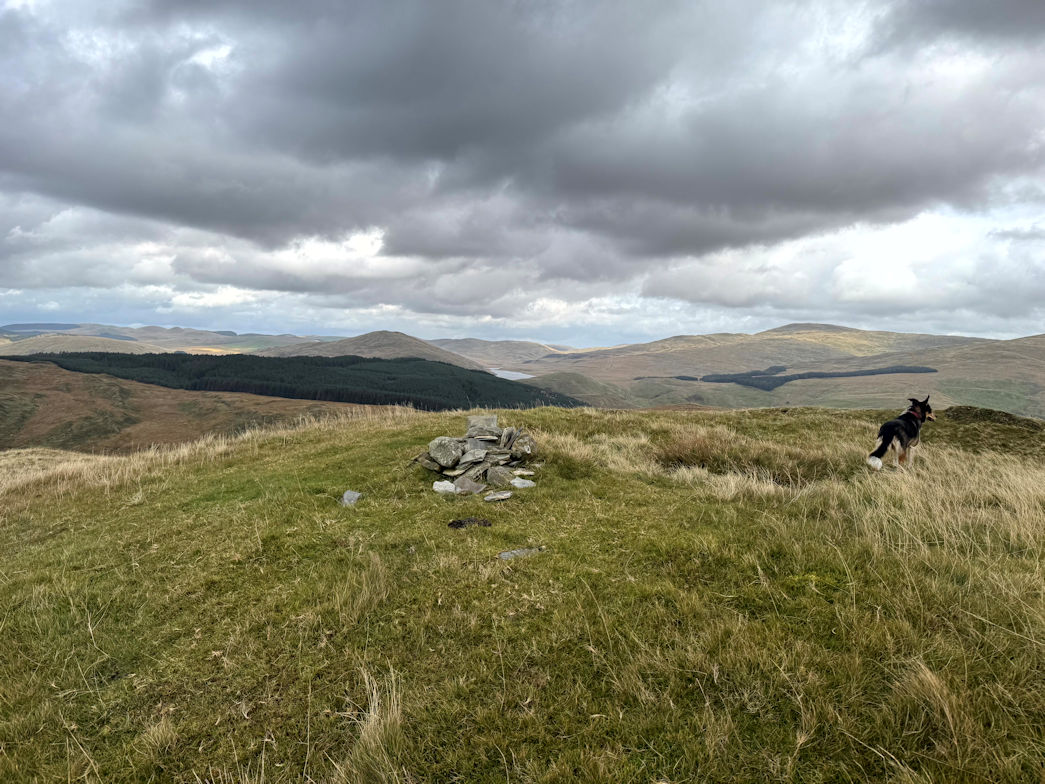 Disgwylfa Fawr (507m) Disgwylfa Fawr (507m)