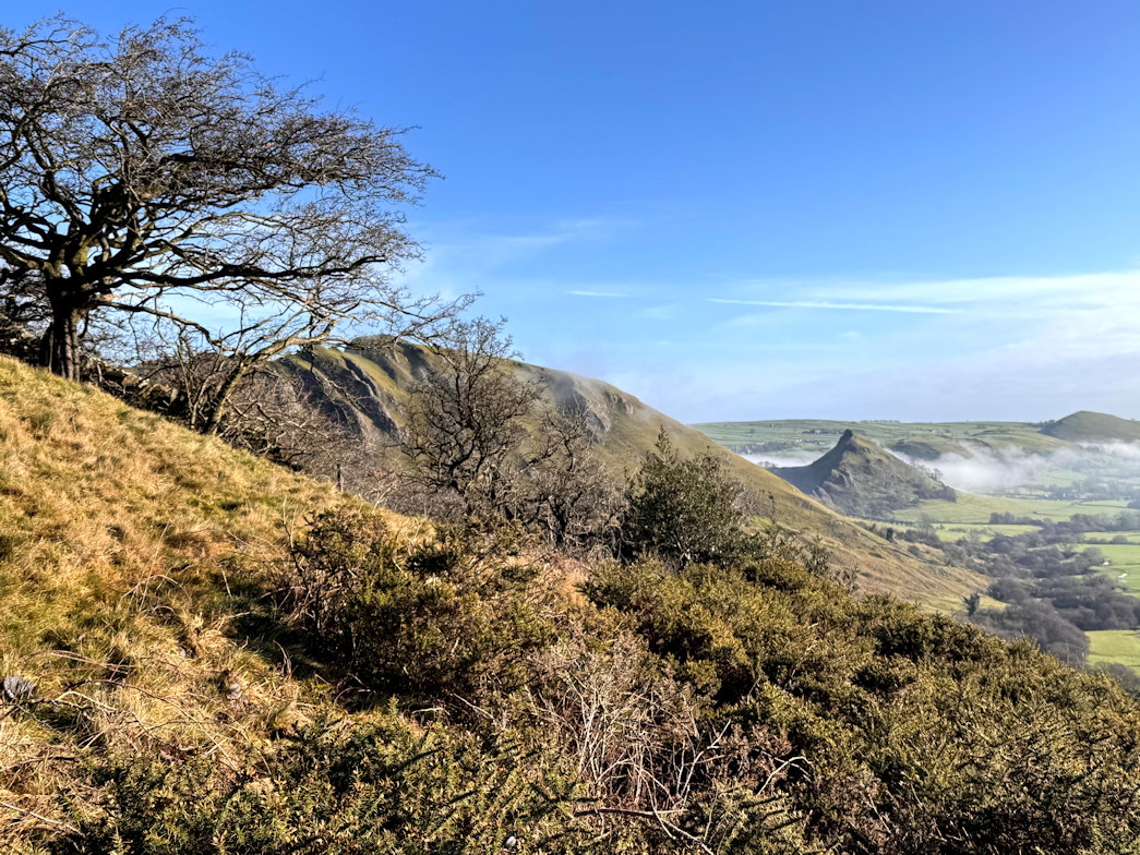 The Dragons Back The Dragons Back