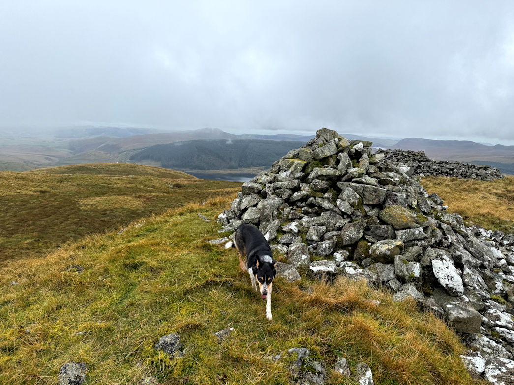 Drosgol (550m) Drosgol (550m)