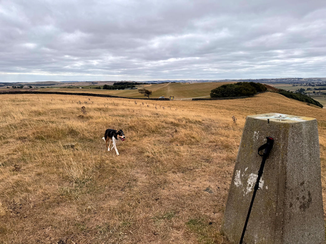 Durham Edge (416m) Durham Edge (416m)