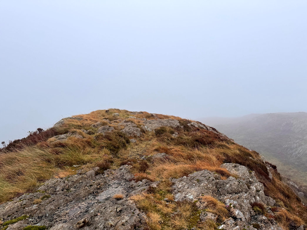 Moel y Dyniewyd Moel y Dyniewyd