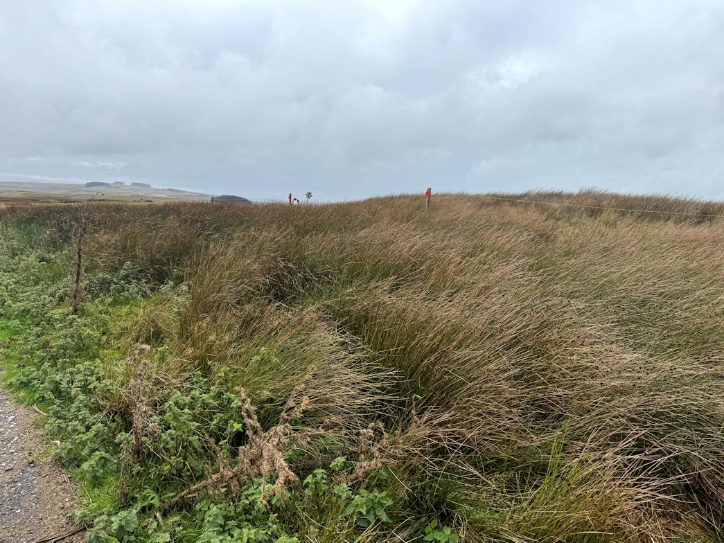 Mynydd Epynt Mynydd Epynt