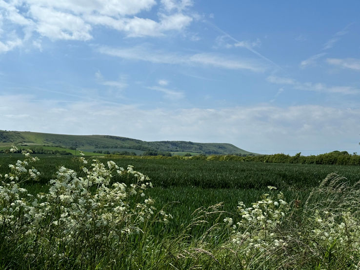 Firle Beacon Firle Beacon