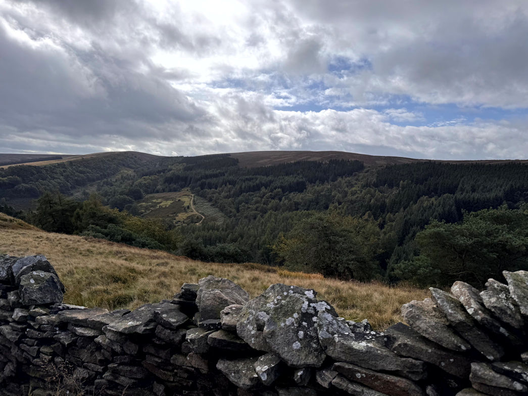 Foxlow Edge Foxlow Edge