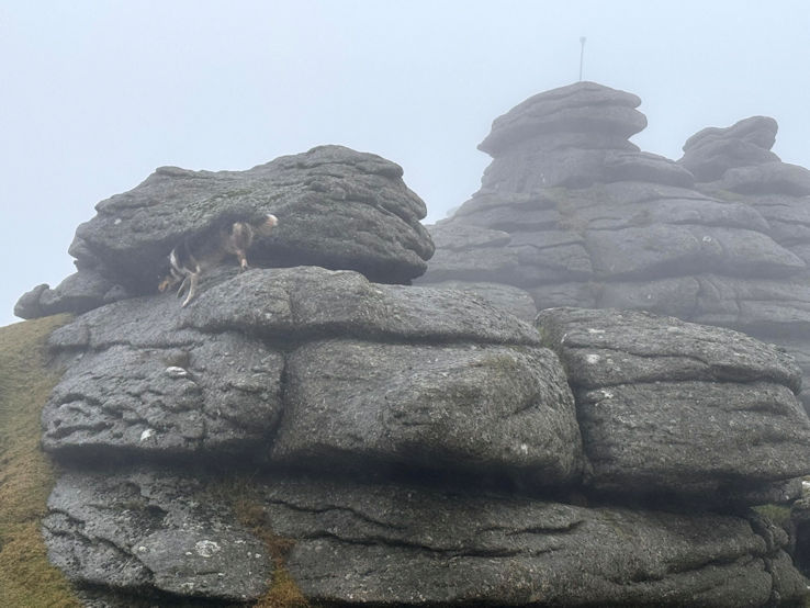 Great Mis Tor Great Mis Tor