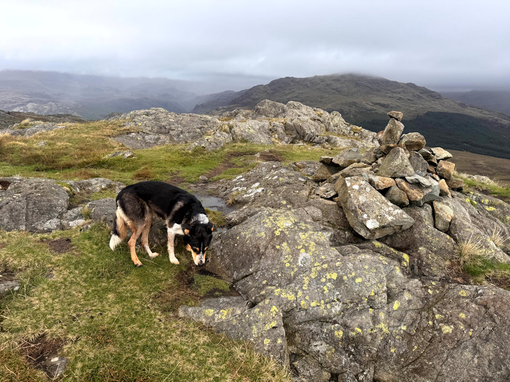 Green Crag Green Crag