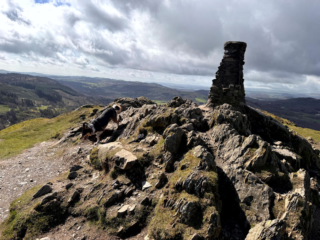 Gummers How Gummers How