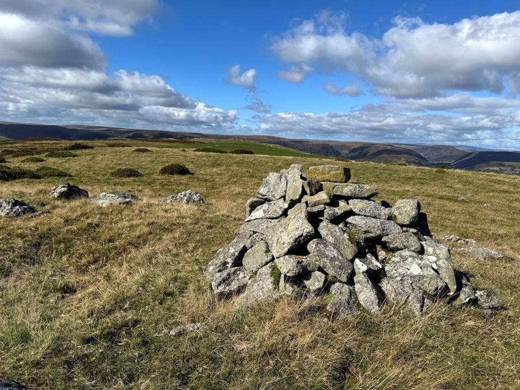 Gwastedyn Hill (477m) Gwastedyn Hill (477m)