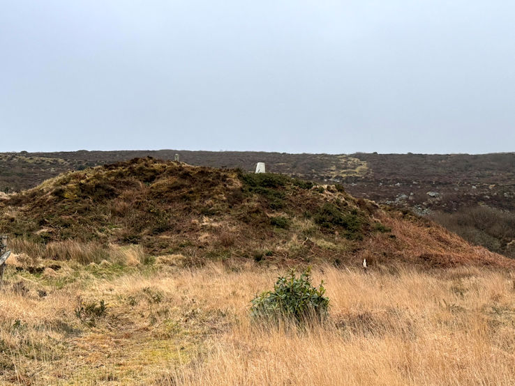 Hensbarrow Down Hensbarrow Down