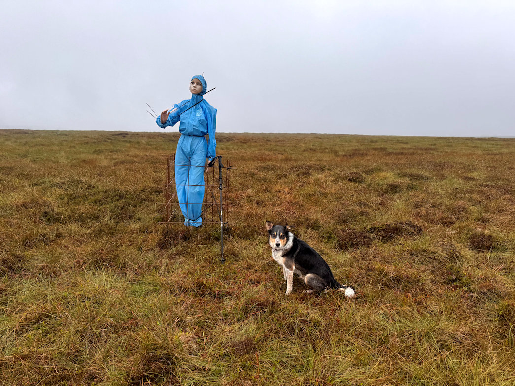 On Hoove Moor On Hoove Moor