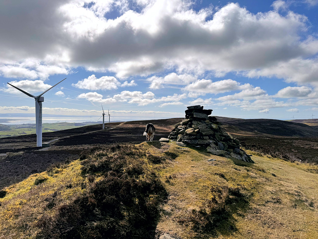 Kirkby Moor Kirkby Moor