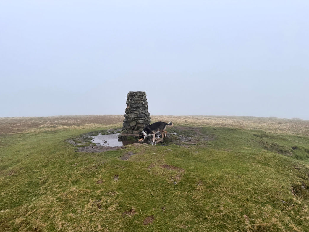 Little Mell Fell (505m) Little Mell Fell (505m)