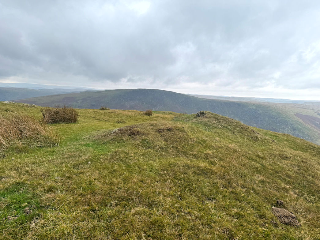 Moelfryn (522m) Moelfryn (522m)