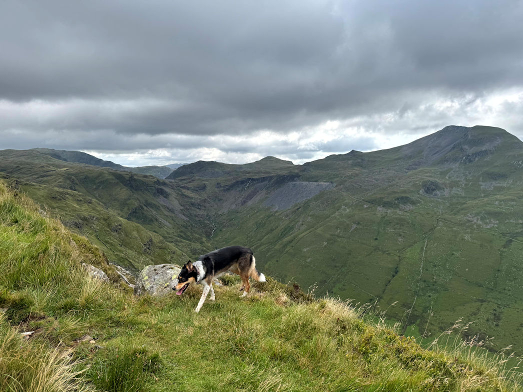 Rosie having fun Rosie having fun