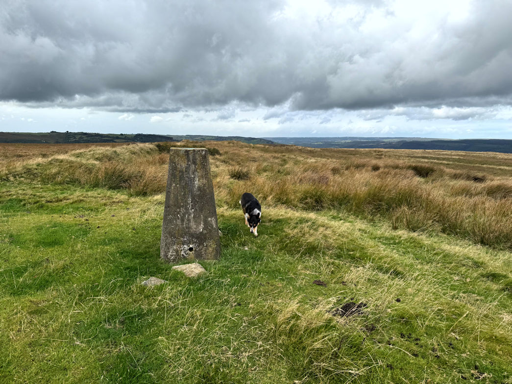 Mynydd Cynros Mynydd Cynros