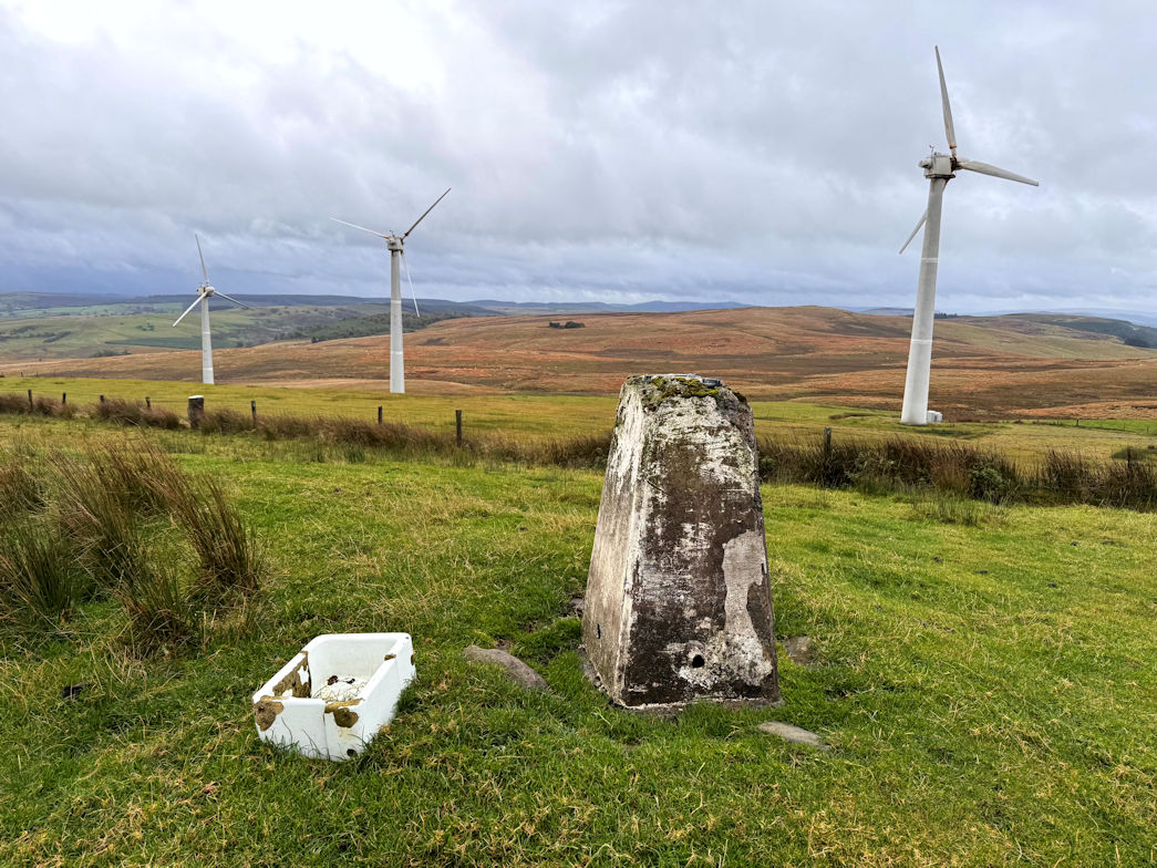 Pegwn Mawr(586m) Pegwn Mawr(586m)