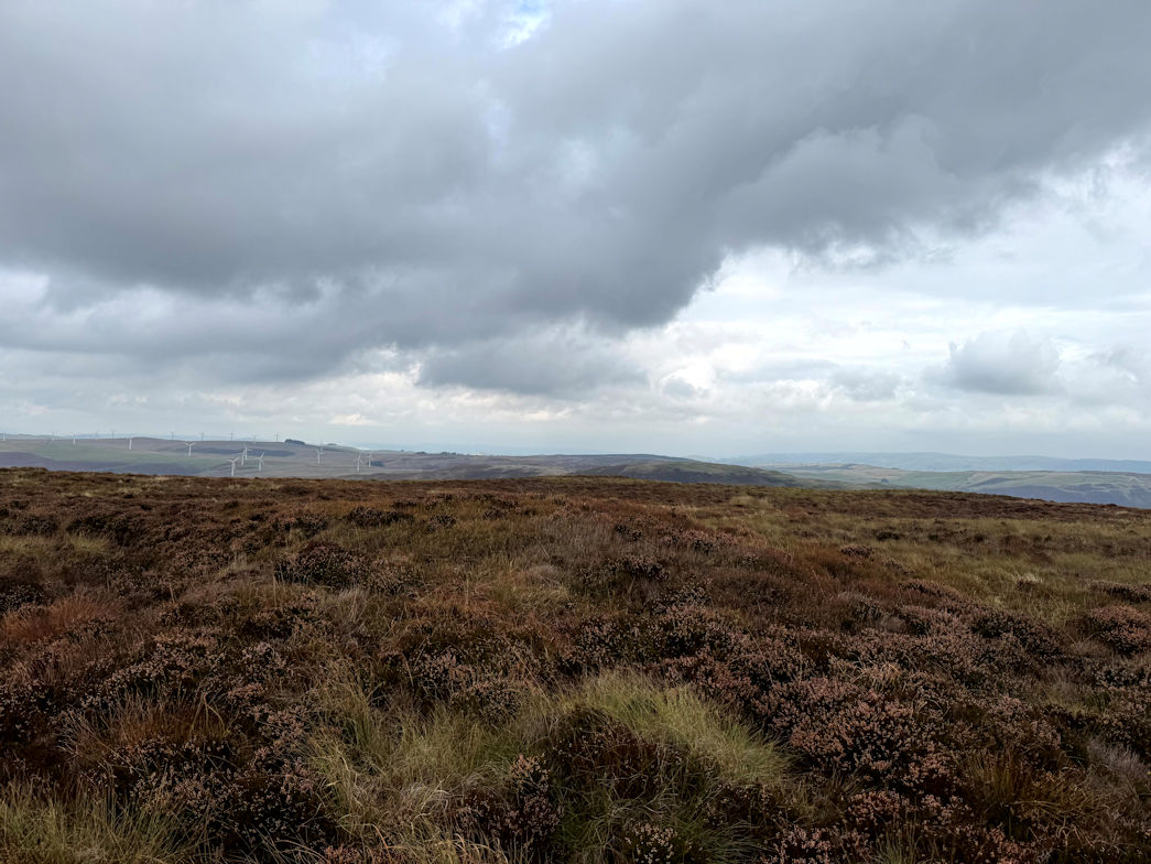 Penrhiw Wen (520m) Penrhiw Wen (520m)