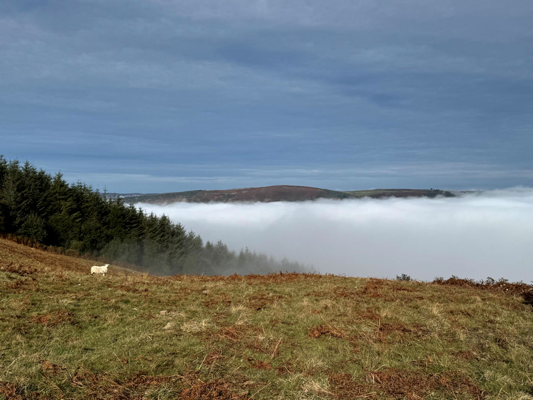 Mist in the valley Mist in the valley