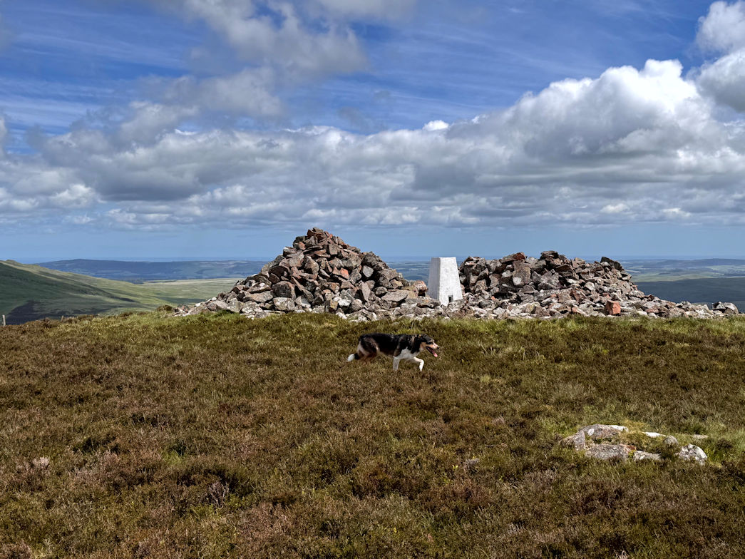 Shill Moor Shill Moor