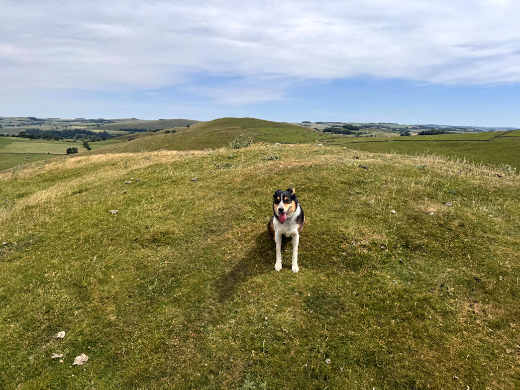 Wetton Hill (372m) Wetton Hill (372m)