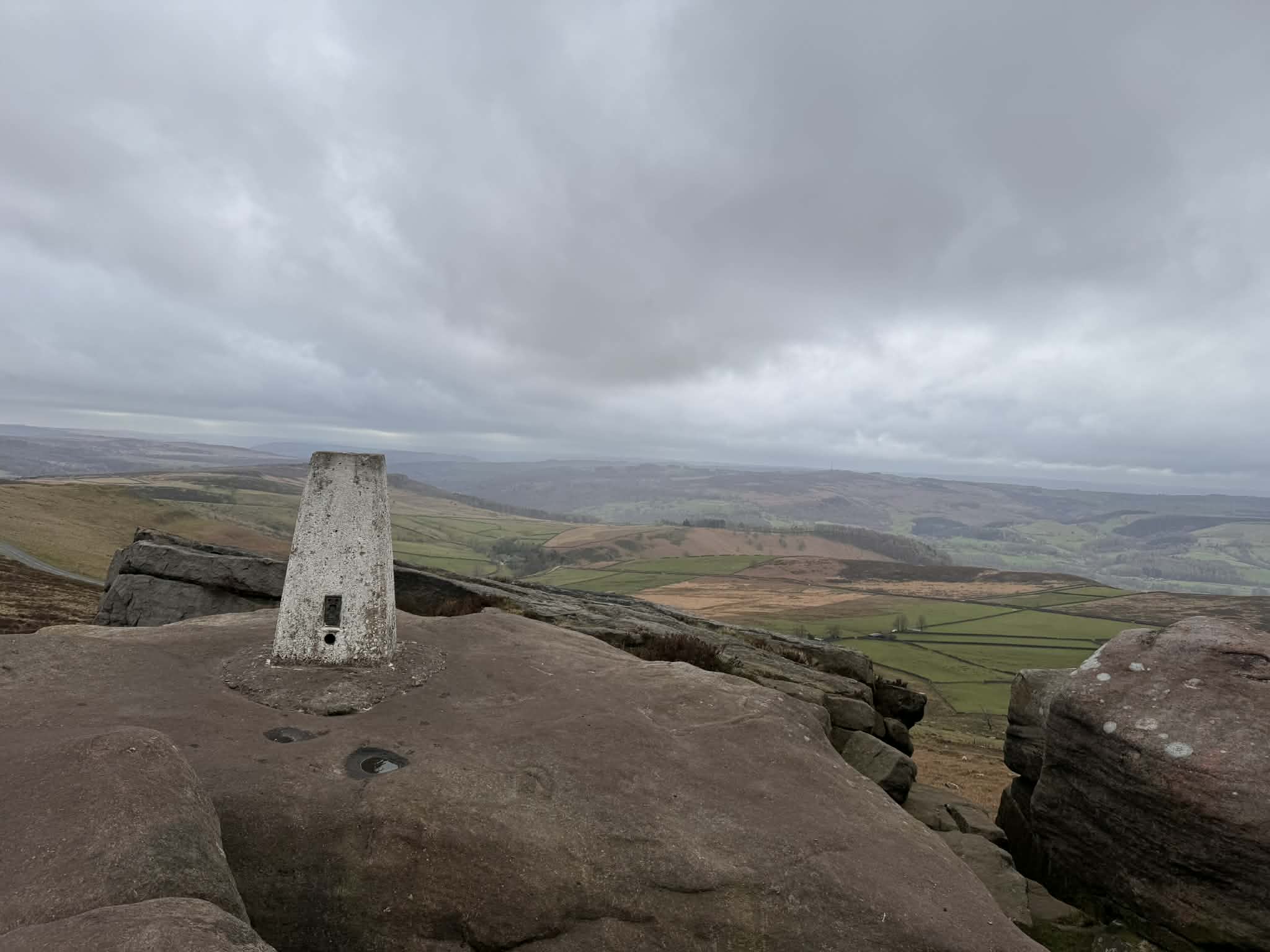 White Path Moss White Path Moss